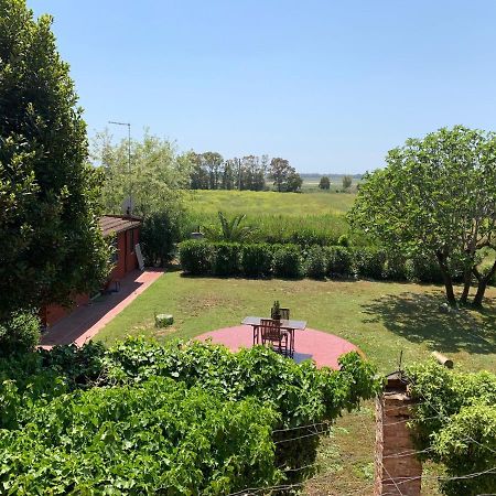 Villa Casale Degli Ulivi Maccarese à Le Cerquete Extérieur photo