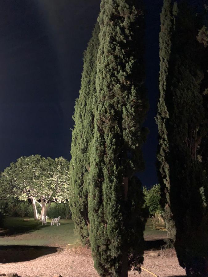 Villa Casale Degli Ulivi Maccarese à Le Cerquete Extérieur photo
