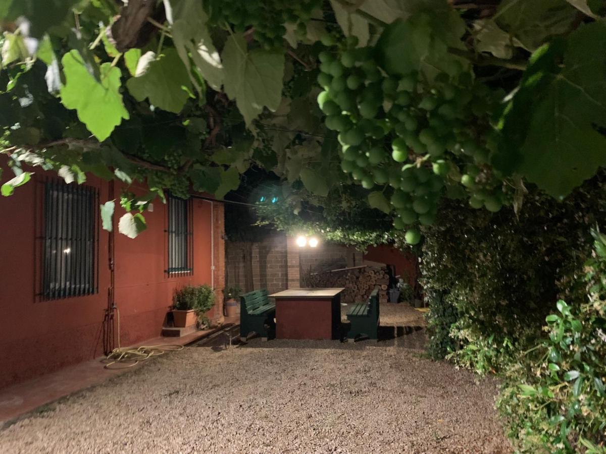 Villa Casale Degli Ulivi Maccarese à Le Cerquete Extérieur photo